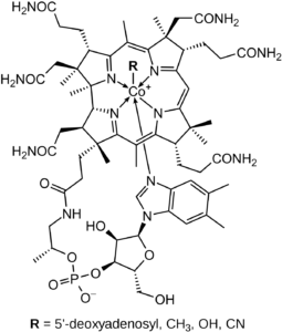 Vitamin-B12-Cobalamin_skeletal