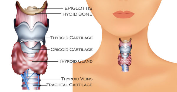 Thyroid-Diagram